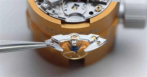 manutenzione rolex.